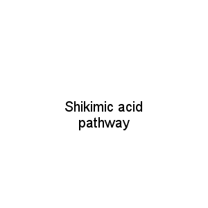 Shikimic acid pathway